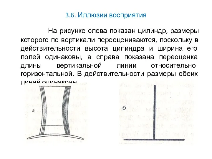 3.6. Иллюзии восприятия На рисунке слева показан цилиндр, размеры которого по вертикали переоцениваются,