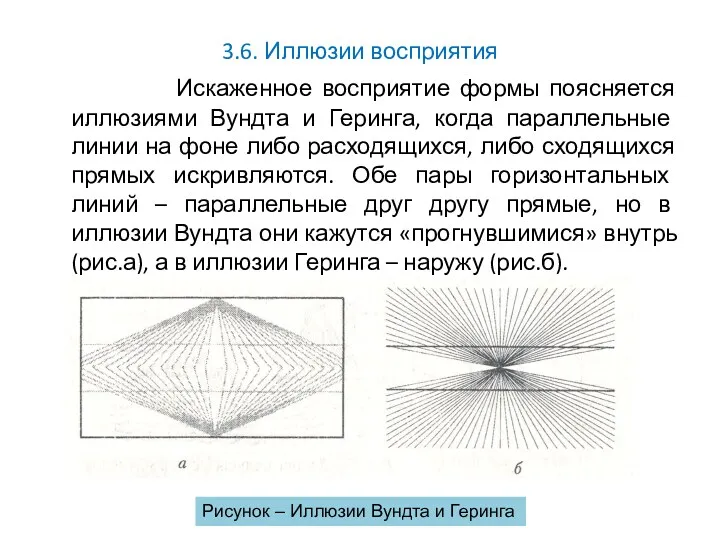 3.6. Иллюзии восприятия Искаженное восприятие формы поясняется иллюзиями Вундта и Геринга, когда параллельные