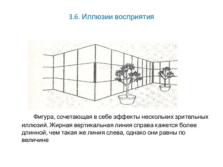 3.6. Иллюзии восприятия Фигура, сочетающая в себе эффекты нескольких зрительных иллюзий. Жирная вертикальная