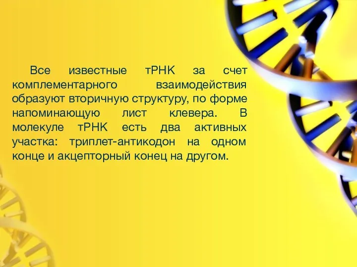 Все известные тРНК за счет комплементарного взаимодействия образуют вторичную структуру, по форме напоминающую