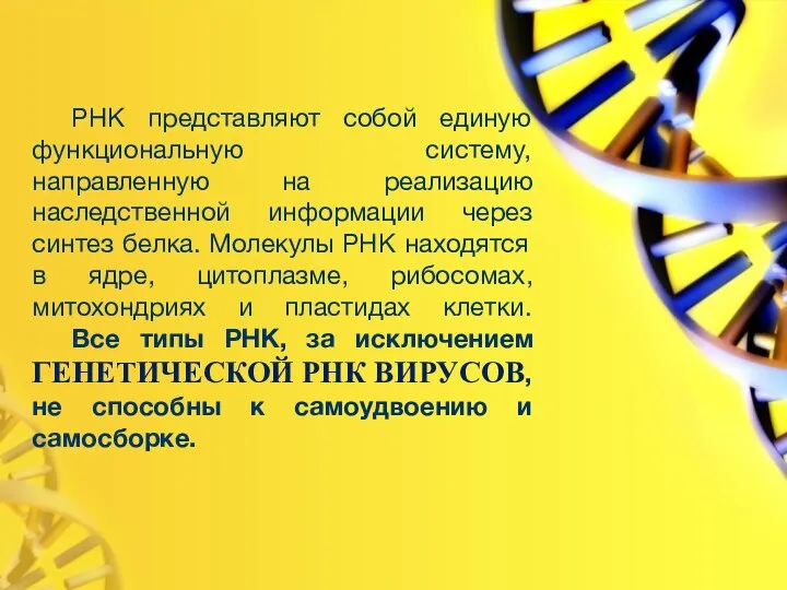 РНК представляют собой единую функциональную систему, направленную на реализацию наследственной информации через синтез