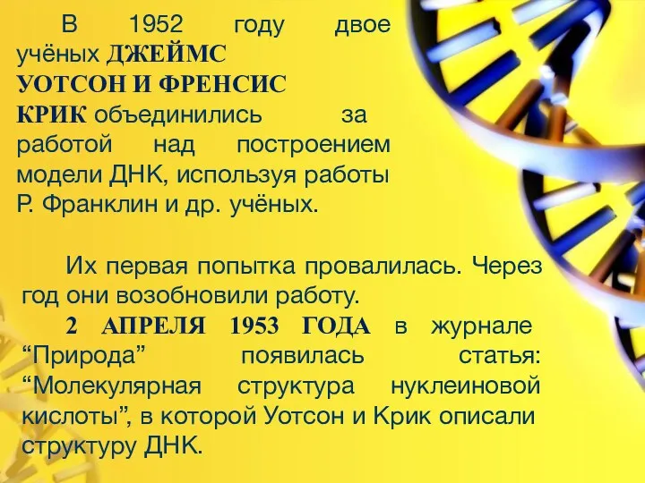 В 1952 году двое учёных ДЖЕЙМС УОТСОН И ФРЕНСИС КРИК объединились за работой