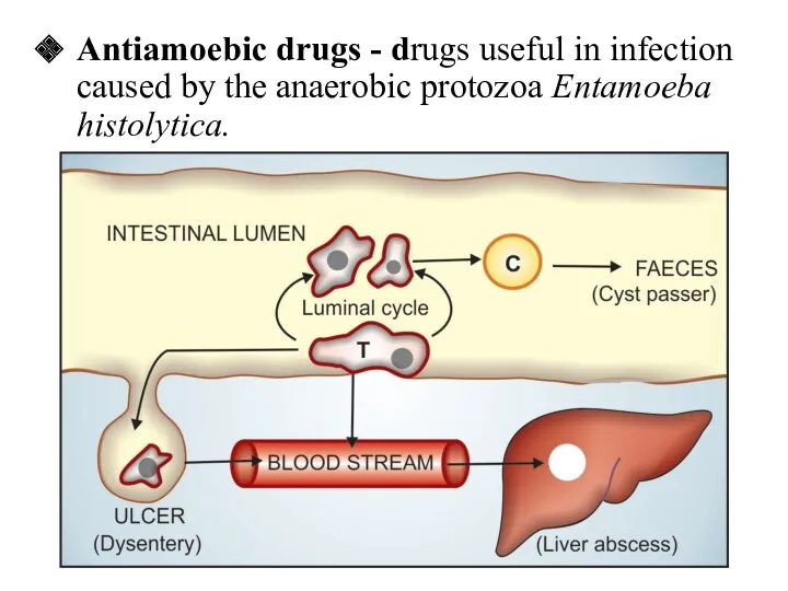 Antiamoebic drugs - drugs useful in infection caused by the anaerobic protozoa Entamoeba histolytica.
