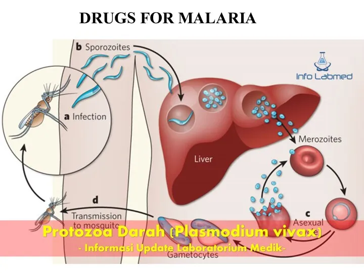 DRUGS FOR MALARIA