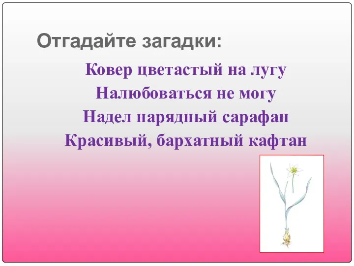 Отгадайте загадки: Ковер цветастый на лугу Налюбоваться не могу Надел нарядный сарафан Красивый, бархатный кафтан