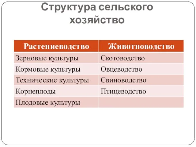 Структура сельского хозяйство