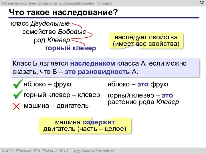 Что такое наследование? класс Двудольные семейство Бобовые род Клевер горный