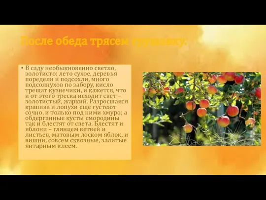 После обеда трясем грушовку. В саду необыкновенно светло, золотисто: лето