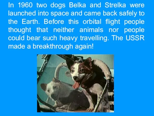 In 1960 two dogs Belka and Strelka were launched into space and came