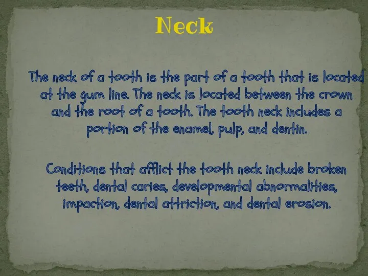 Neck The neck of a tooth is the part of a tooth that