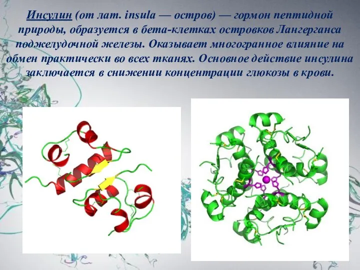 Инсулин (от лат. insula — остров) — гормон пептидной природы,