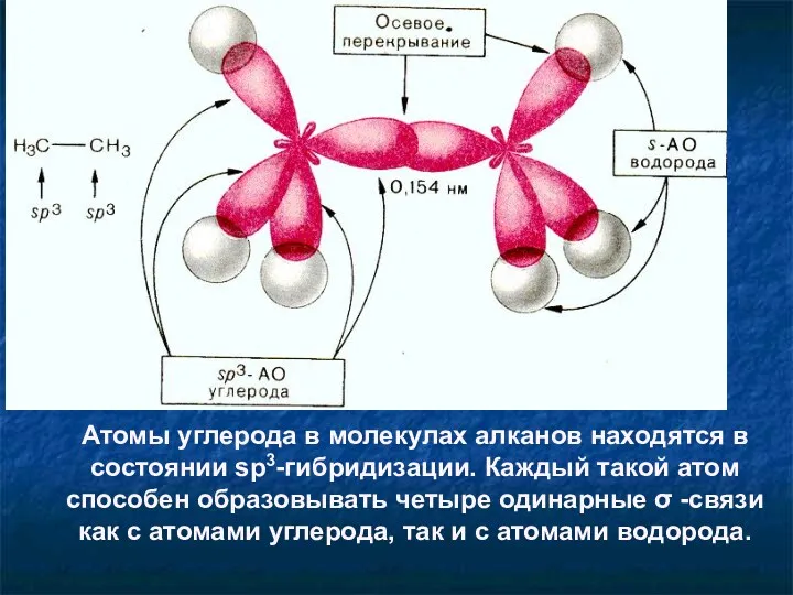 Атомы углерода в молекулах алканов находятся в состоянии sp3-гибридизации. Каждый