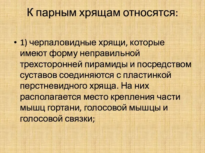 К парным хрящам относятся: 1) черпаловидные хрящи, которые имеют форму