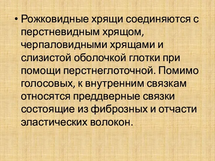 Рожковидные хрящи соединяются с перстневидным хрящом, черпаловидными хрящами и слизистой