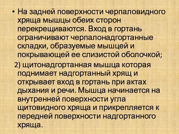 На задней поверхности черпаловидного хряща мышцы обеих сторон перекрещиваются. Вход