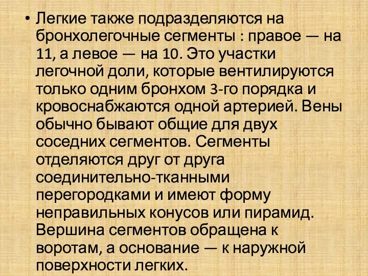 Легкие также подразделяются на бронхолегочные сегменты : правое — на