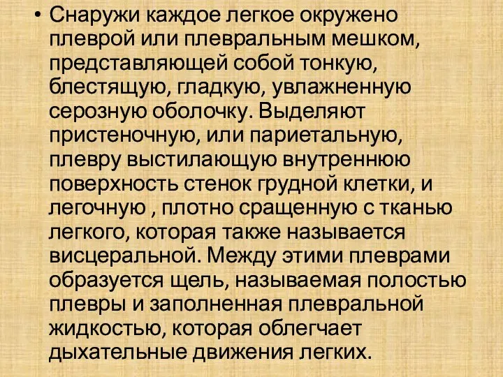 Снаружи каждое легкое окружено плеврой или плевральным мешком, представляющей собой