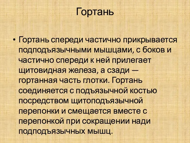 Гортань Гортань спереди частично прикрывается подподъязычными мышцами, с боков и