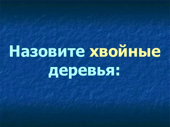 Назовите хвойные деревья: