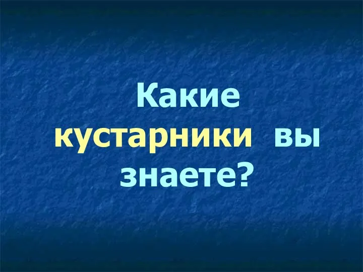 Какие кустарники вы знаете?