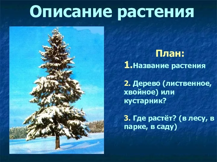 Описание растения План: 1.Название растения 2. Дерево (лиственное, хвойное) или