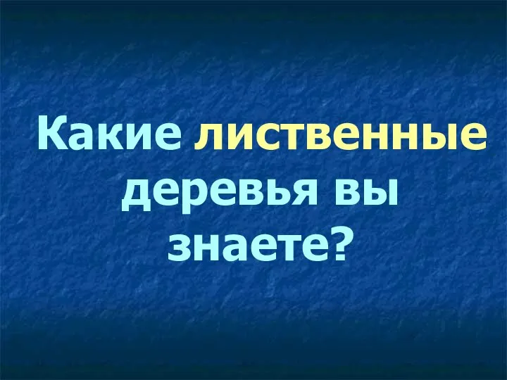 Какие лиственные деревья вы знаете?