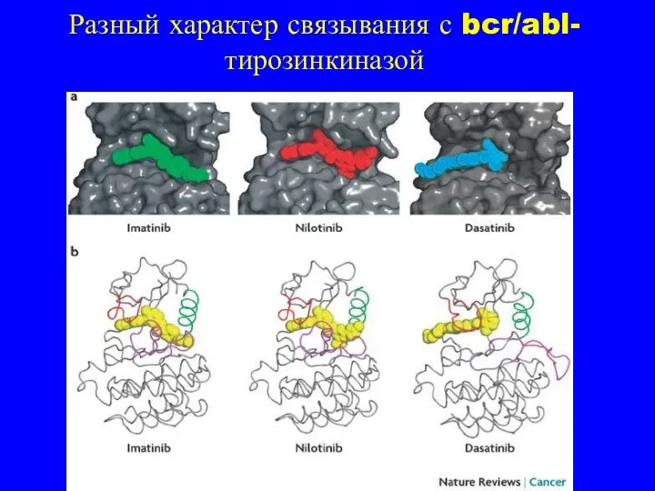 Разный характер связывания с bcr/abl-тирозинкиназой