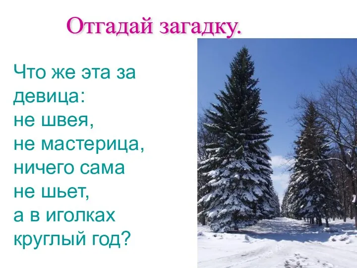 Отгадай загадку. Что же эта за девица: не швея, не