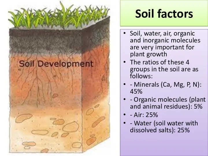 Soil factors Soil, water, air, organic and inorganic molecules are very important for
