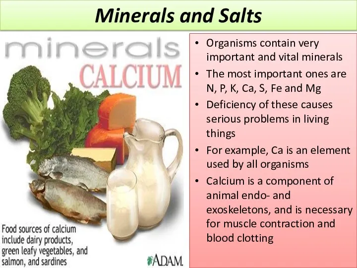 Organisms contain very important and vital minerals The most important ones are N,