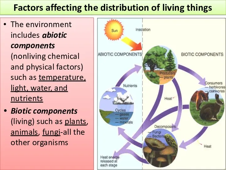 The environment includes abiotic components (nonliving chemical and physical factors) such as temperature,