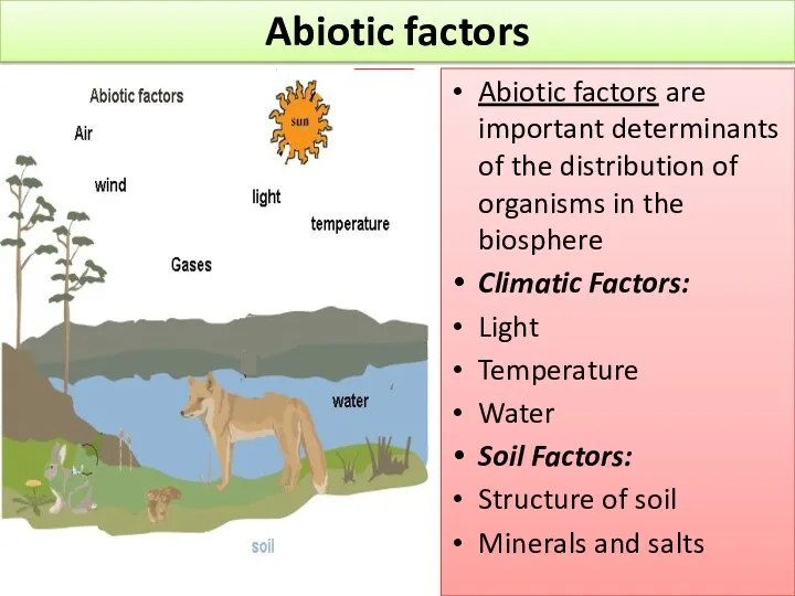 Abiotic factors are important determinants of the distribution of organisms in the biosphere