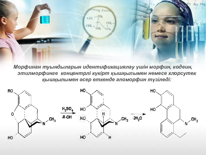 Морфинан туындыларын идентификациялау үшін морфин, кодеин, этилморфинге концентрлі күкірт қышқылымен