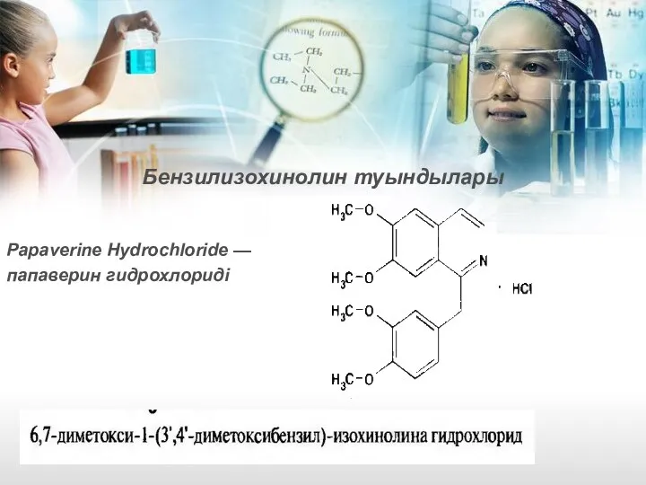 Бензилизохинолин туындылары Papaverine Hydrochloride — папаверин гидрохлориді