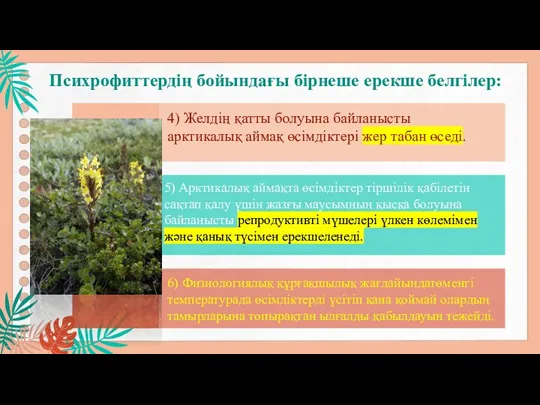 Психрофиттердің бойындағы бірнеше ерекше белгілер: 5) Арктикалық аймақта өсімдіктер тіршілік