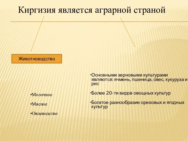 Киргизия является аграрной страной Молочное Мясное Овцеводство Животноводство Основными зерновыми