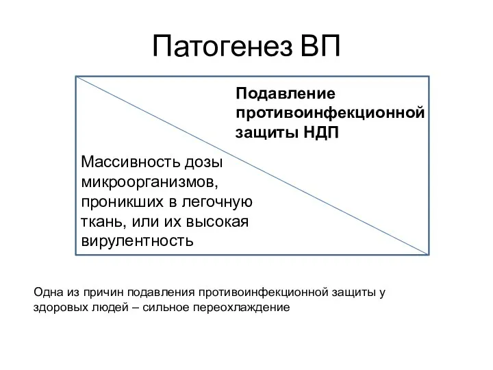 Патогенез ВП Подавление противоинфекционной защиты НДП Массивность дозы микроорганизмов, проникших в легочную ткань,