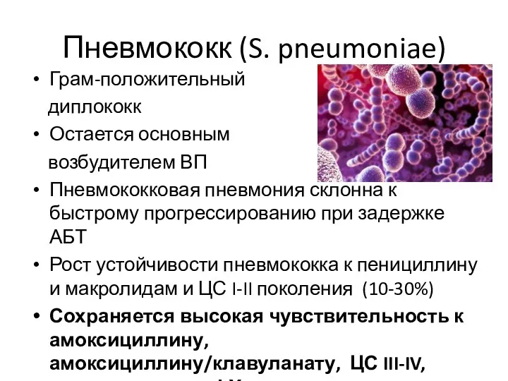 Пневмококк (S. pneumoniae) Грам-положительный диплококк Остается основным возбудителем ВП Пневмококковая