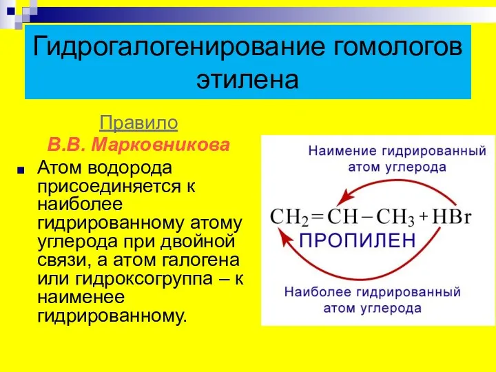 Гидрогалогенирование гомологов этилена Правило В.В. Марковникова Атом водорода присоединяется к