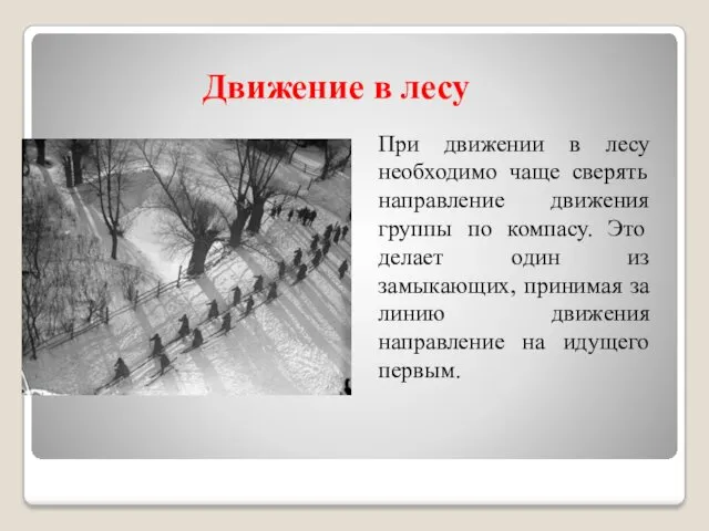 Движение в лесу При движении в лесу необходимо чаще сверять направление движения группы