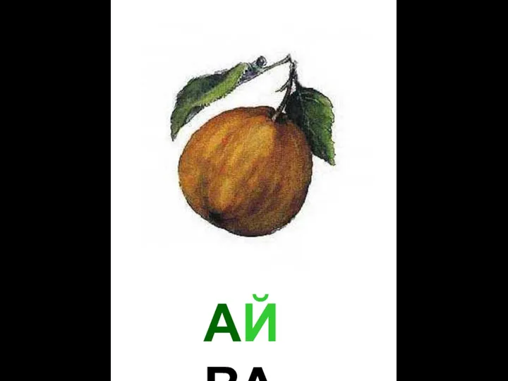 АЙВА Айва