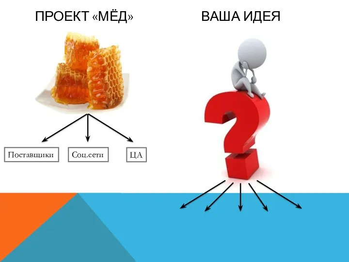 ПРОЕКТ «МЁД» ВАША ИДЕЯ Поставщики Соц.сети ЦА