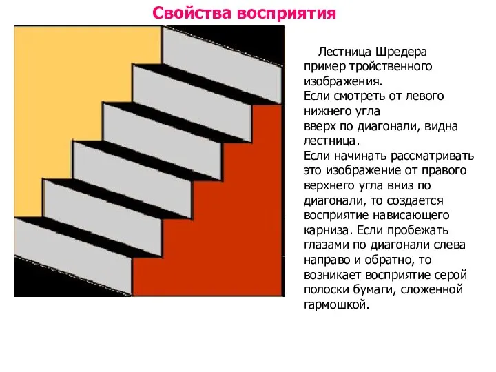 Свойства восприятия Лестница Шредера пример тройственного изображения. Если смотреть от