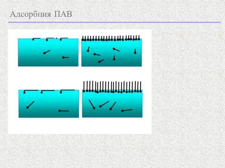 Адсорбция ПАВ