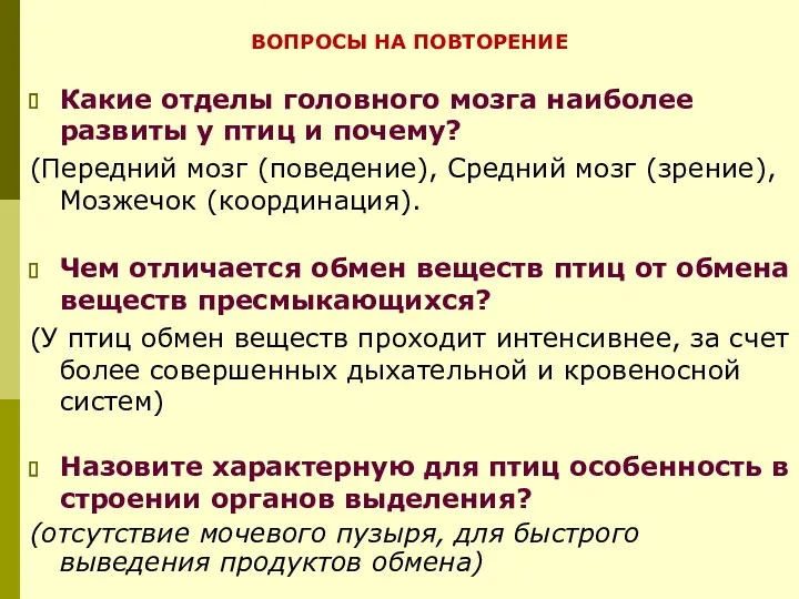 Какие отделы головного мозга наиболее развиты у птиц и почему?