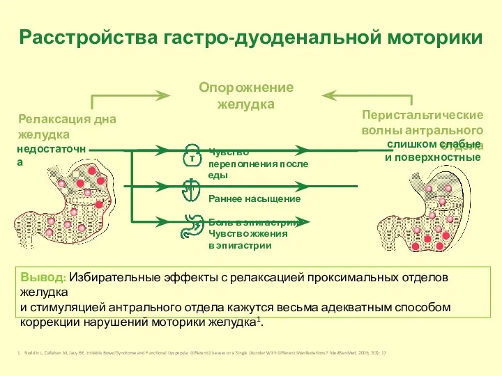 Вывод: Избирательные эффекты с релаксацией проксимальных отделов желудка и стимуляцией