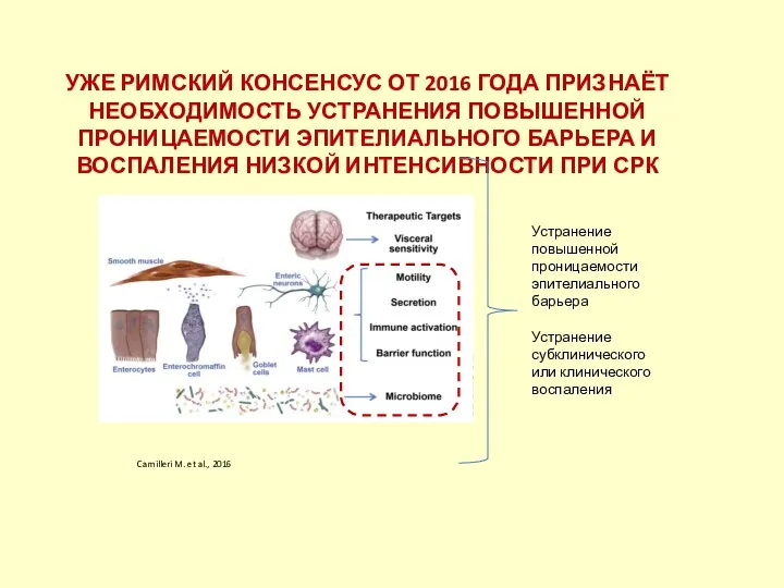 УЖЕ РИМСКИЙ КОНСЕНСУС ОТ 2016 ГОДА ПРИЗНАЁТ НЕОБХОДИМОСТЬ УСТРАНЕНИЯ ПОВЫШЕННОЙ