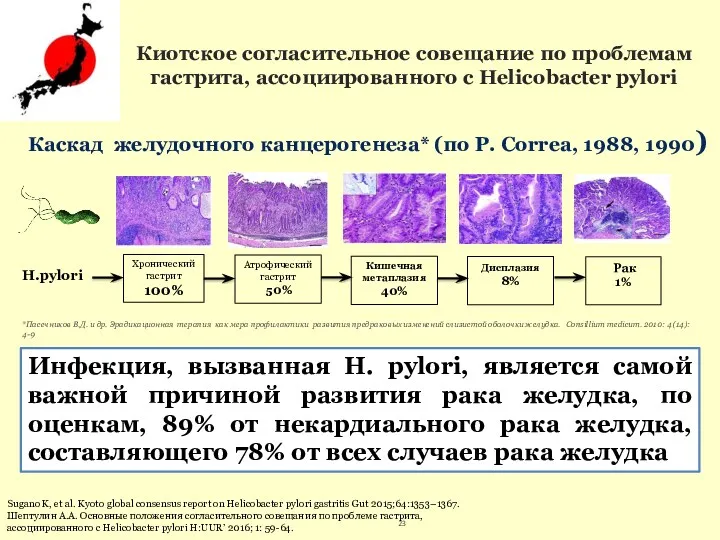 H.pylori Хронический гастрит 100% Атрофический гастрит 50% Кишечная метаплазия 40%