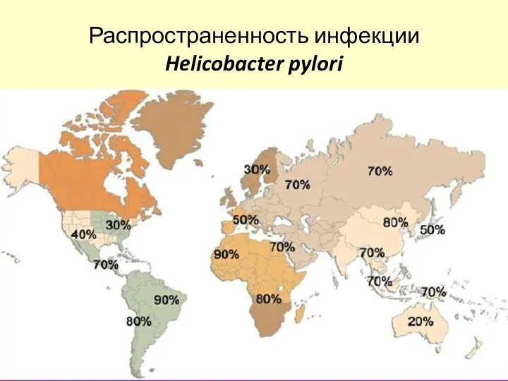 Распространенность инфекции Helicobacter pylori