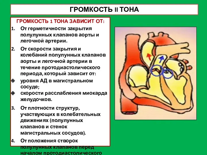 ГРОМКОСТЬ II ТОНА ГРОМКОСТЬ 1 ТОНА ЗАВИСИТ ОТ: От герметичности